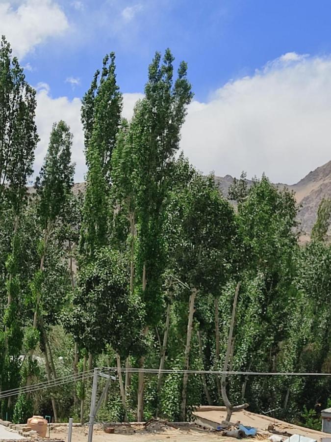 Paradise Leh Residency 外观 照片